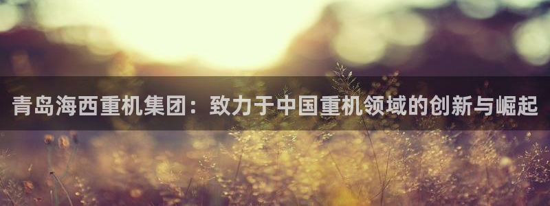 辉达娱乐最新版本更新内容：青岛海西重机集团：致力于中国重机领