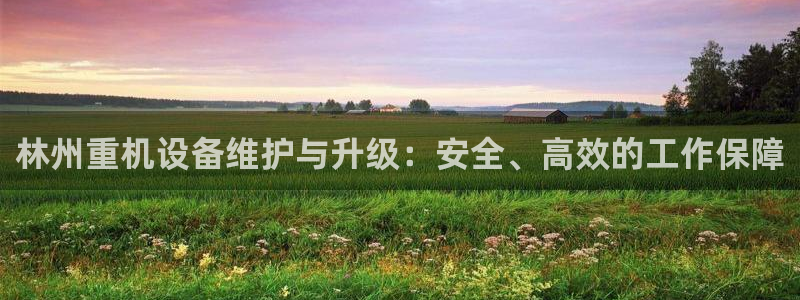 专业辉达娱乐平台