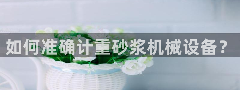 辉达官网登录入口入口