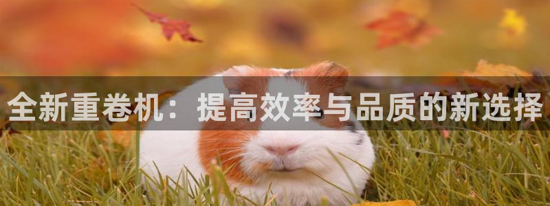 辉达娱乐重庆时时彩