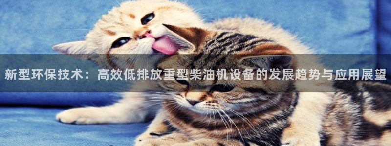 辉达娱乐丶39444