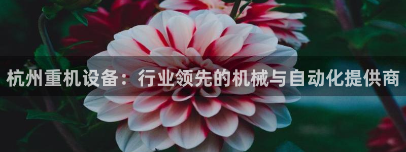 辉达娱乐五75505：杭州重机设备：行业领先的机械与自动化提