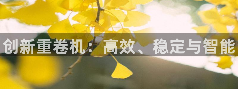 辉达娱乐衤39444：创新重卷机：高效、稳定与智能