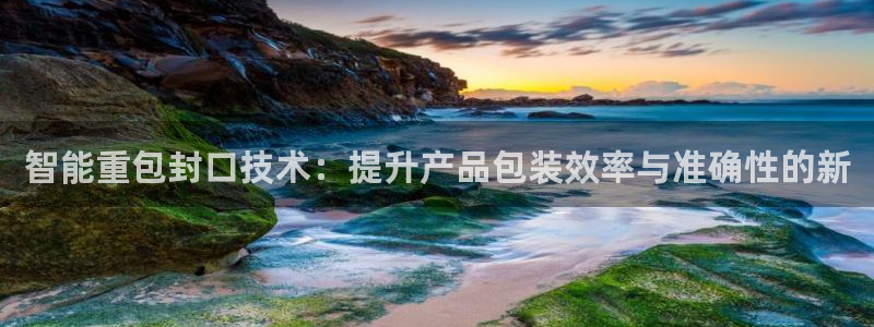 辉达娱乐最新消息新闻：智能重包封口技术：提升产品包装效率与准