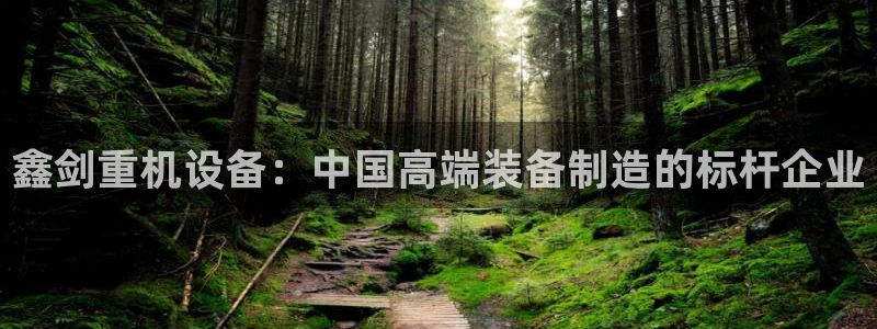 辉达娱乐可靠：鑫剑重机设备：中国高端装备制造的标杆企业