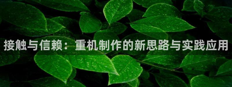 辉达娱乐加q75775