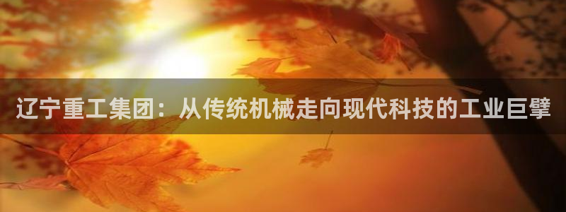 辉达娱乐福彩