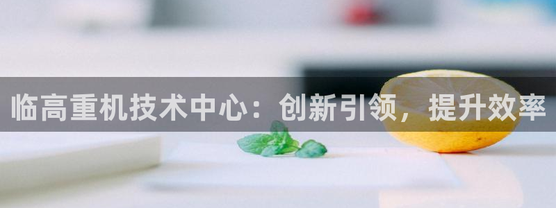 辉达娱乐丿39444：临高重机技术中心：创新引领，提升效率
