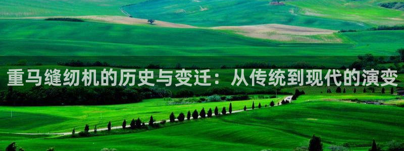 辉达娱乐己75505：重马缝纫机的历史与变迁：从传统到现代的