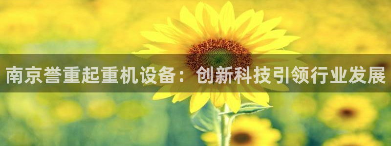 辉达平台官网下载：南京誉重起重机设备：创新科技引领行业发展
