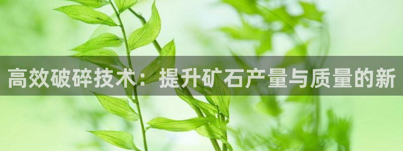 专业辉达娱乐在线游戏