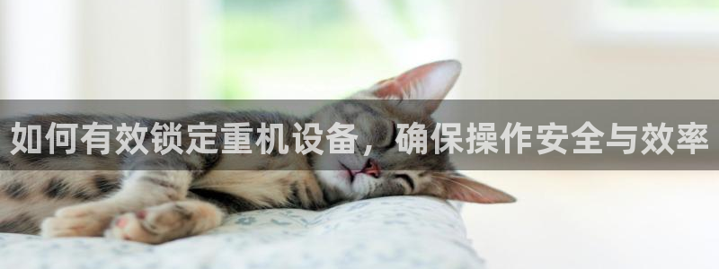 辉达娱乐下载：如何有效锁定重机设备，确保操作安全与效率