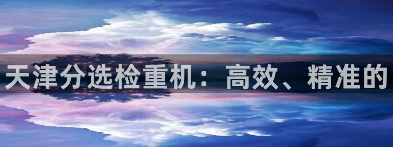 辉达怎么样