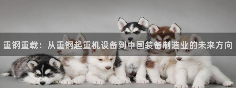 辉达娱乐app：重钢重载：从重钢起重机设备到中国装备制造业的