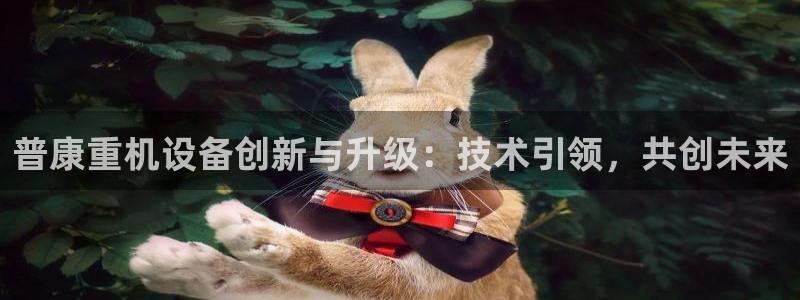 辉达娱乐官网：普康重机设备创新与升级：技术引领，共创未来
