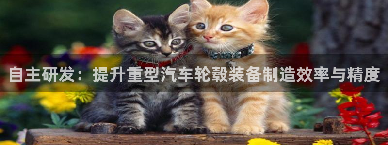 代理辉达娱乐官方网址