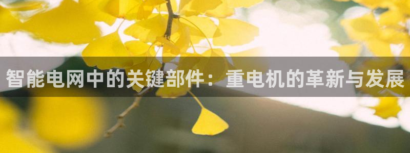 辉达集团官方网站